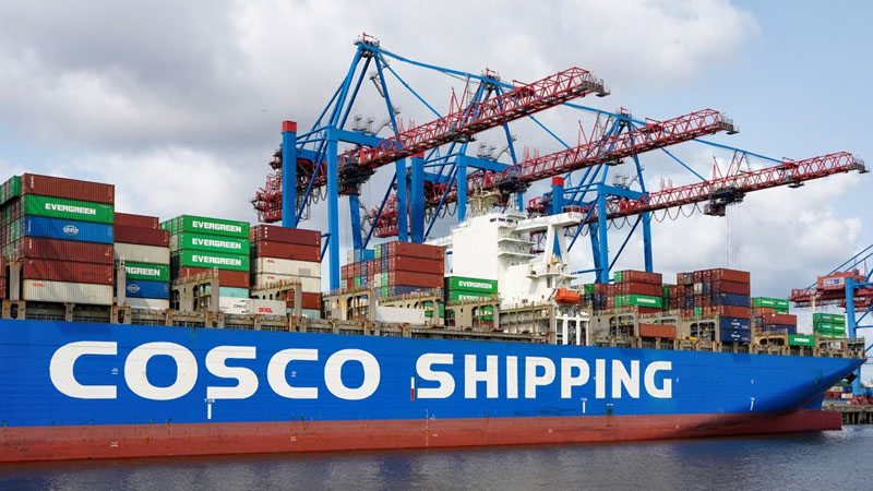 COSCO SHIPPING Captive Posts Marginal Underwriting Losses